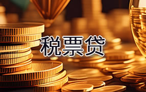 眉山税票贷